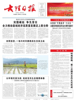 大理日报(汉)